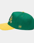 North Dakota State Green & Yellow Hat