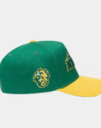 North Dakota State Green & Yellow Hat