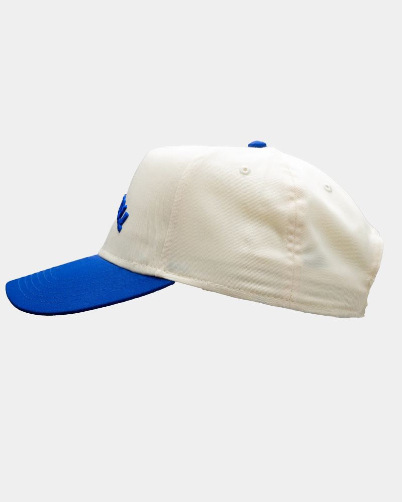 Invert Blue Hat