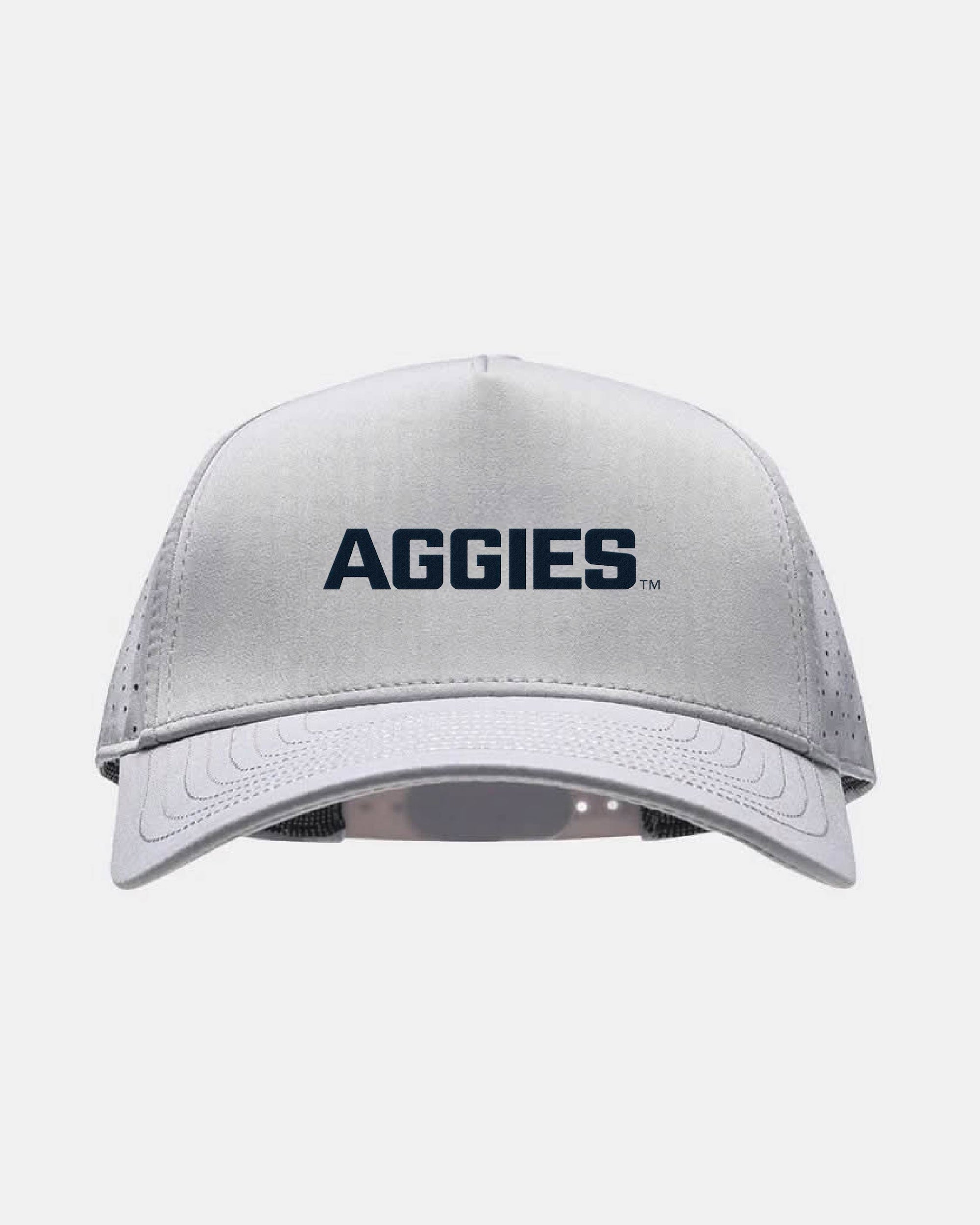 USU Eagle Light Grey Hat