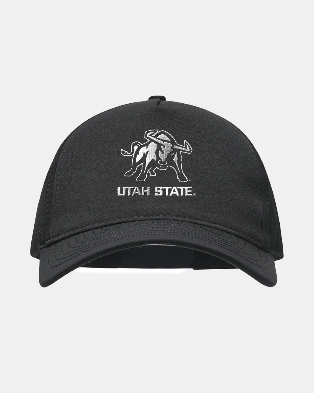 USU Eagle Black Hat
