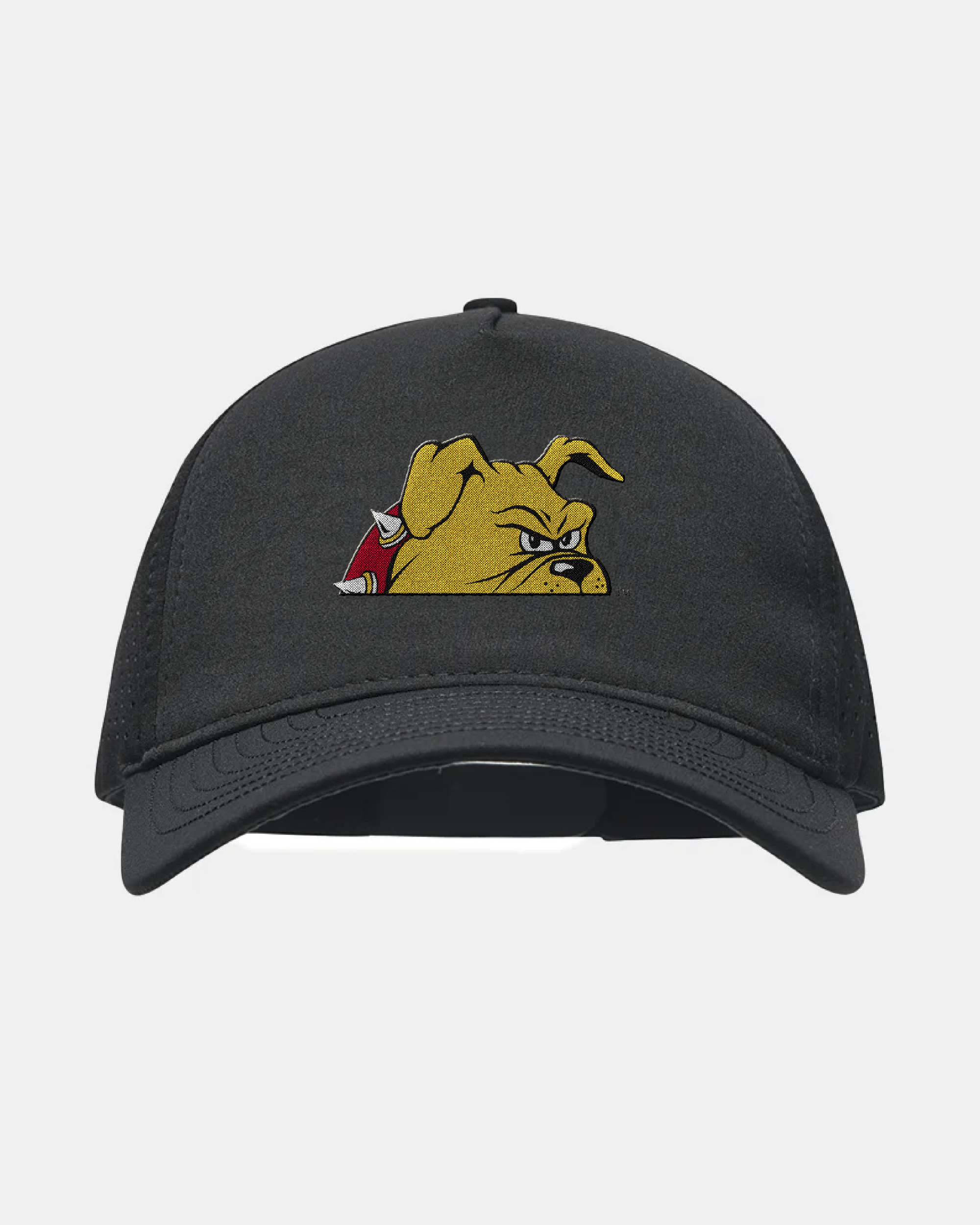 Ferris State Eagle Black Hat