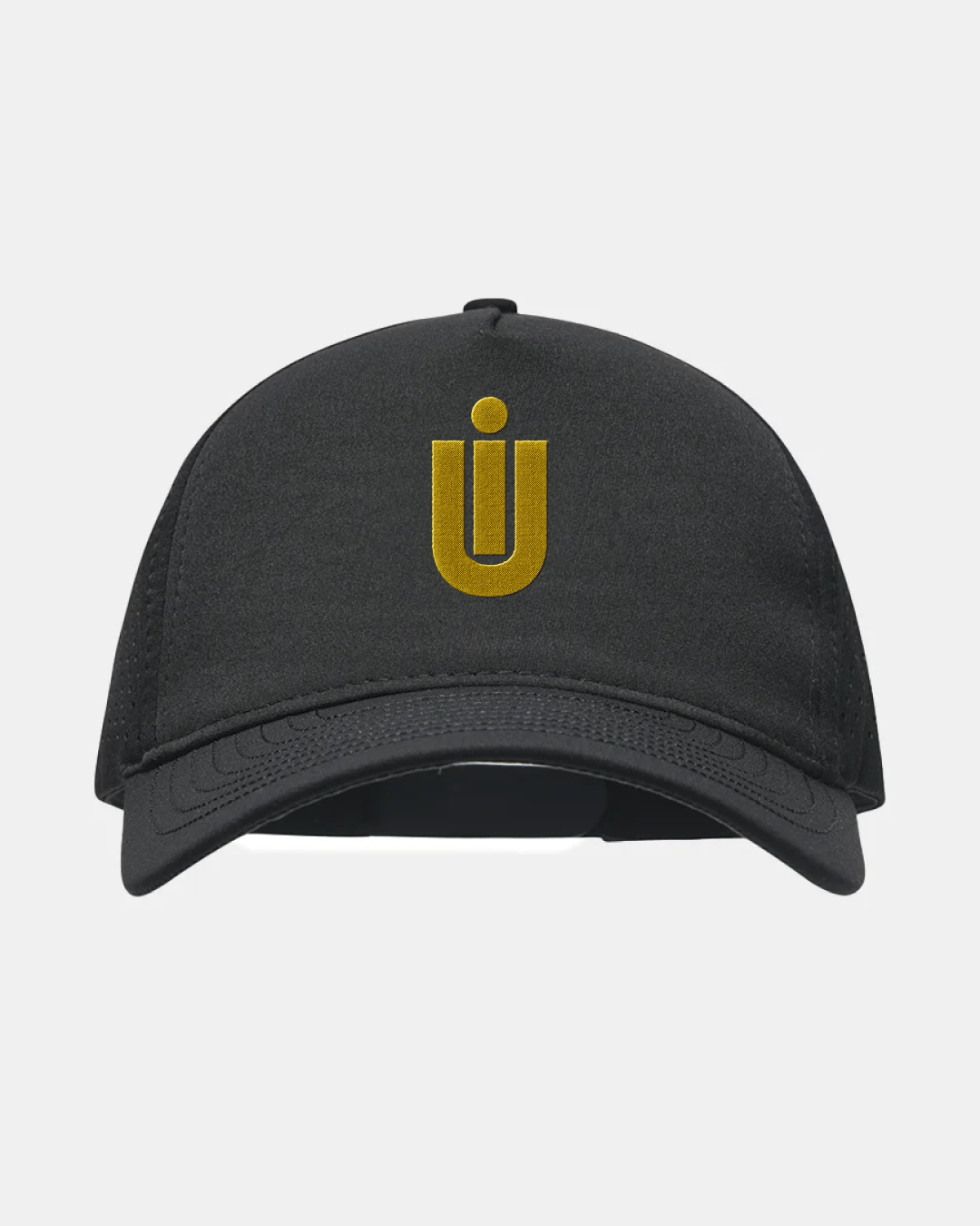 University of Idaho Eagle Black Hat