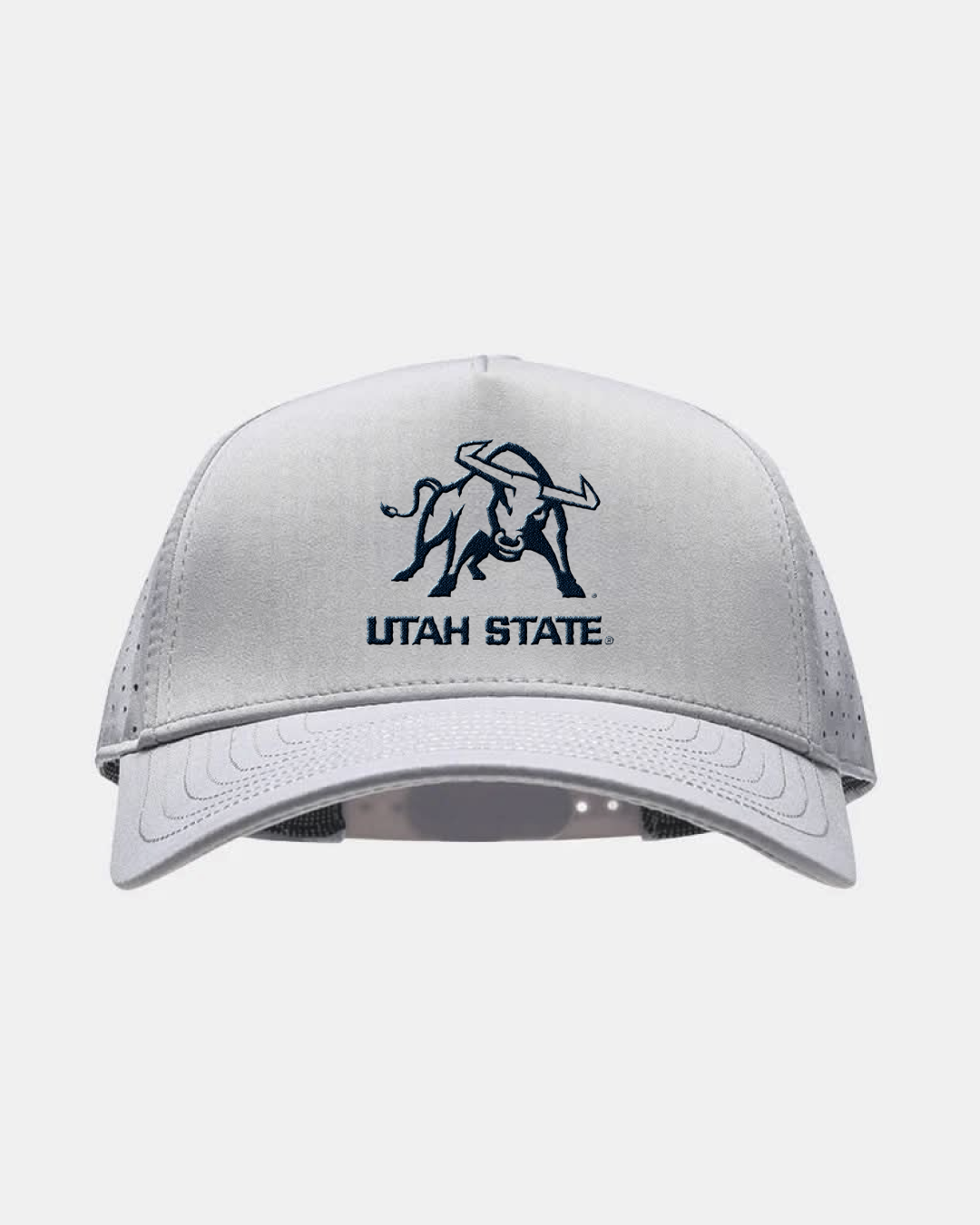 USU Eagle Light Grey Hat