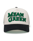 North Texas Mean Green Hat