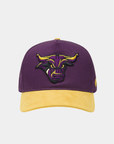 Minnesota Mavericks Purple Hat