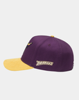 Minnesota Mavericks Purple Hat