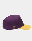Minnesota Mavericks Purple Hat