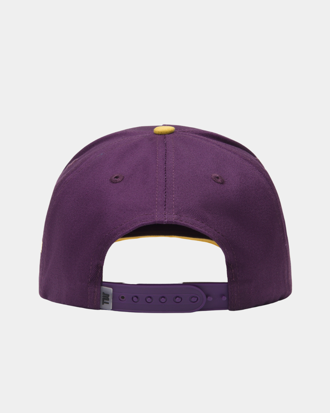 Minnesota Mavericks Purple Hat