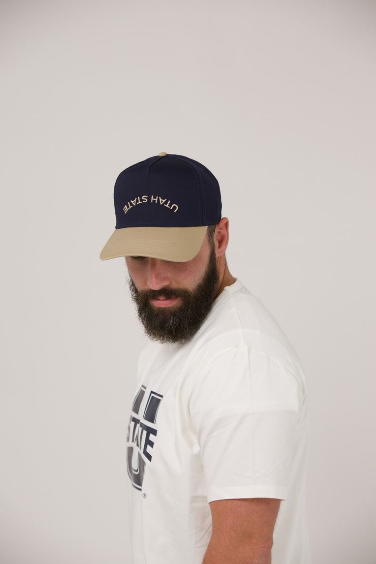 color_navy and tan