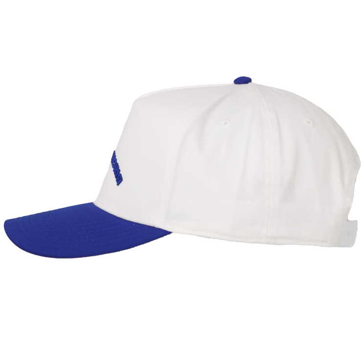 color_white and blue