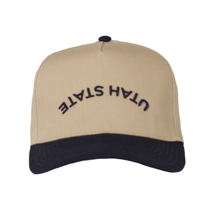 color_tan and navy