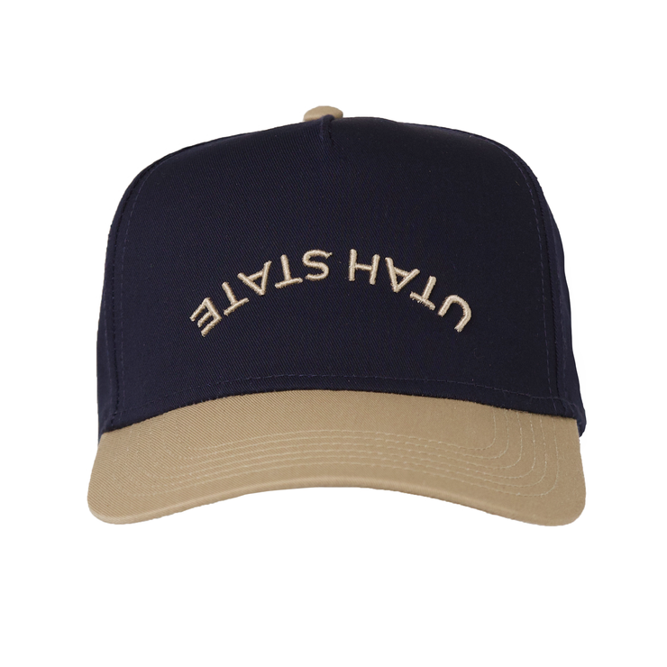 color_navy and tan