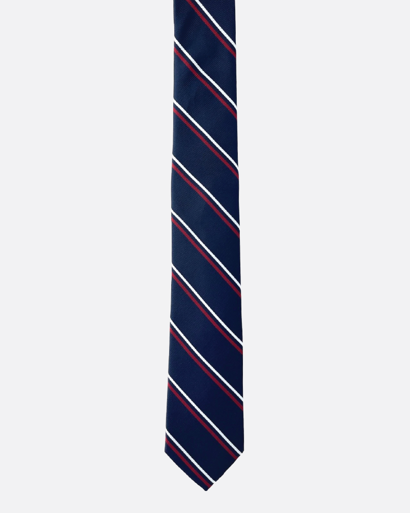 Immortal Navy & Red Striped Dress Tie - Navy &