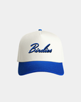 Birdies Fade Hat