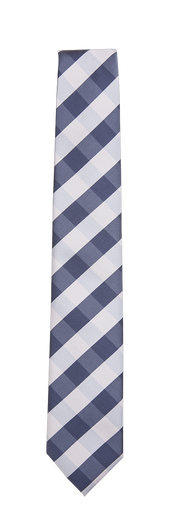 TRUWEAR Immortal Navy Light Blue Checkered Dress Tie